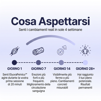 ElyoraPelvico™ Pro